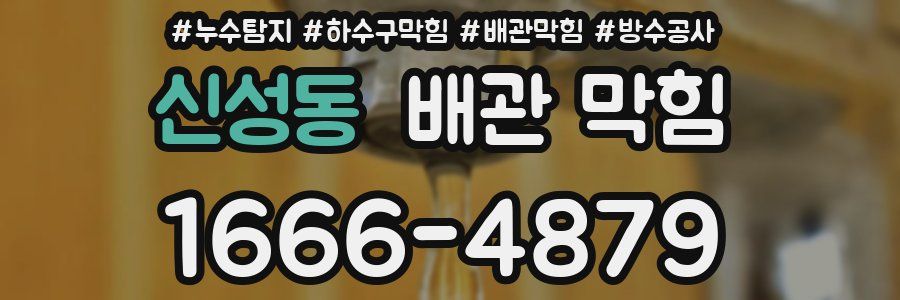 신성동 배관 막힘