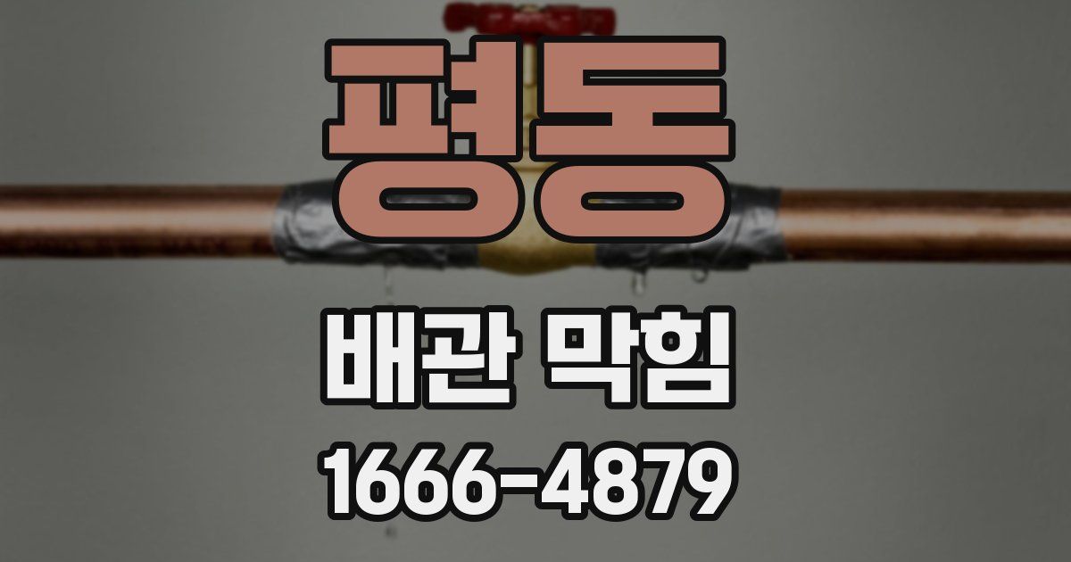 평동 배관 막힘