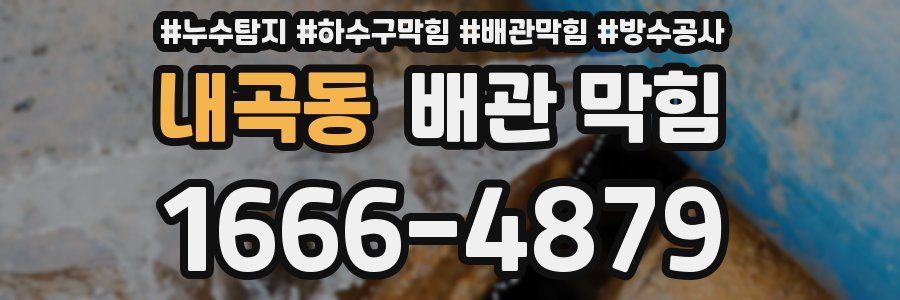 내곡동 배관 막힘