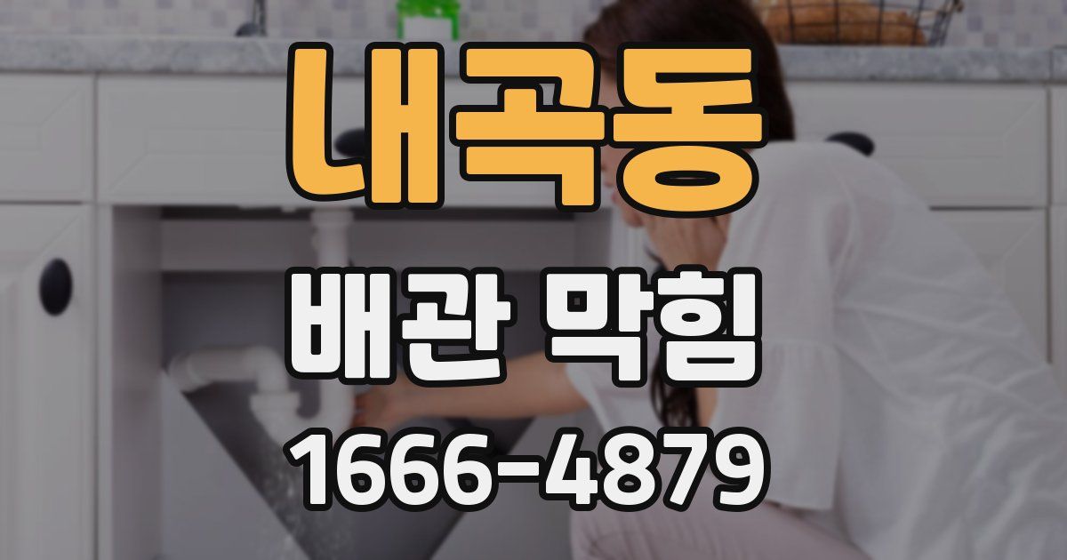 내곡동 배관 막힘