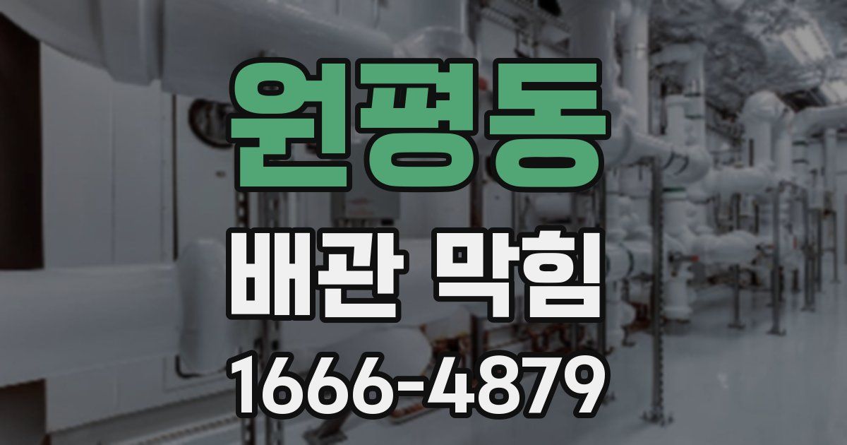 원평동 배관 막힘