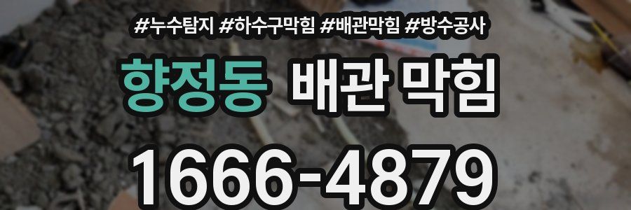 향정동 배관 막힘