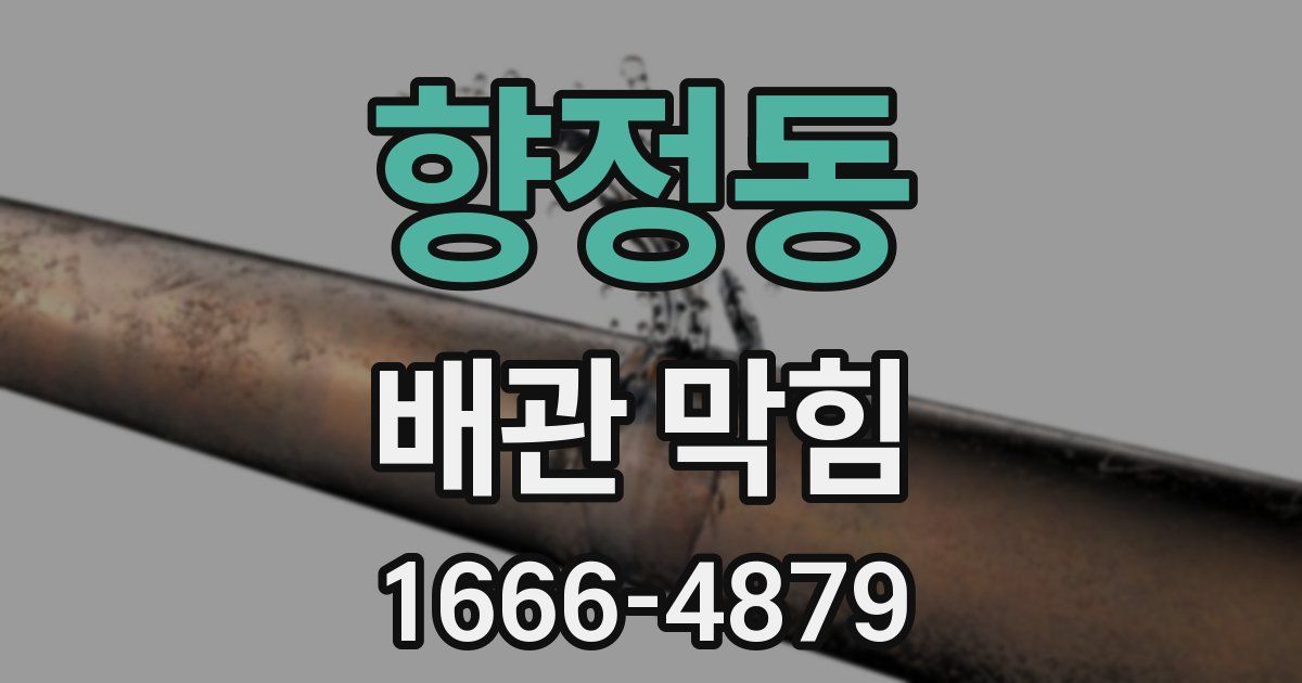 향정동 배관 막힘