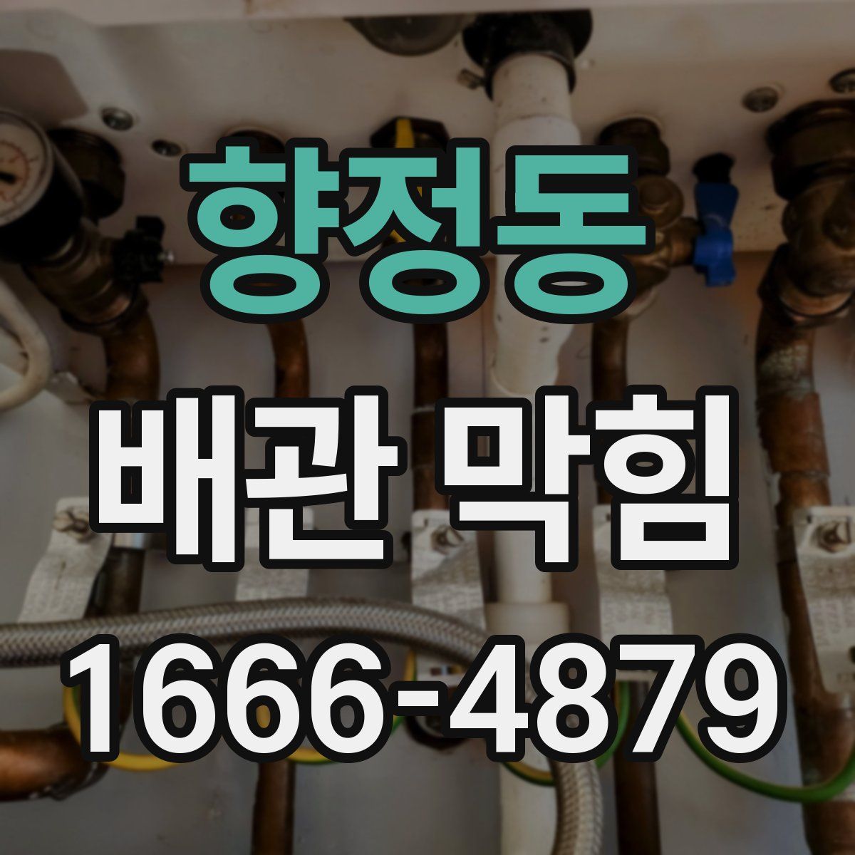 향정동 배관 막힘