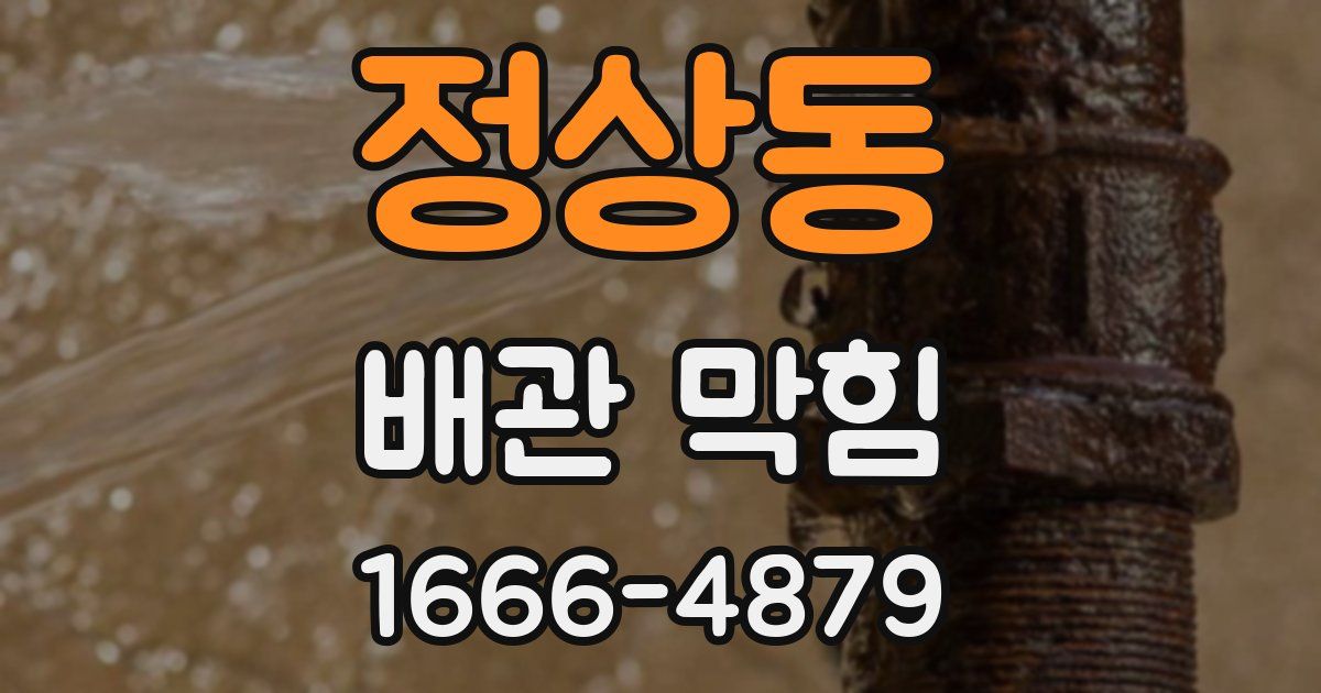 정상동 배관 막힘