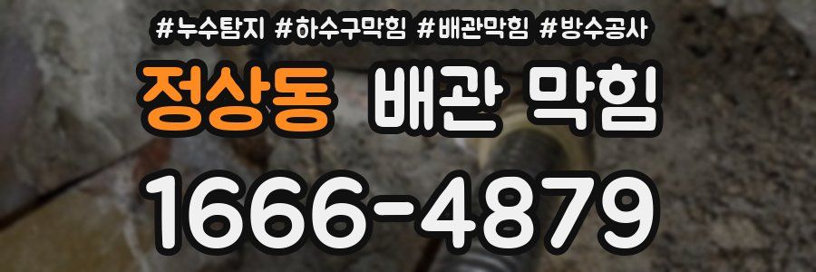 정상동 배관 막힘