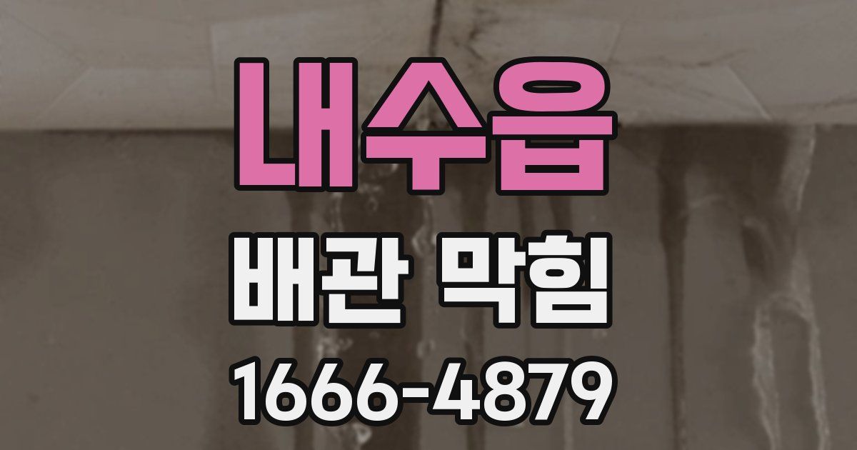내수읍 배관 막힘