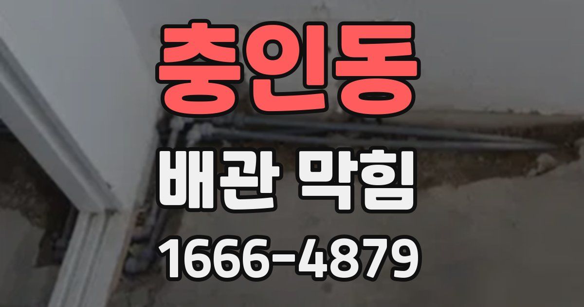 충인동 배관 막힘