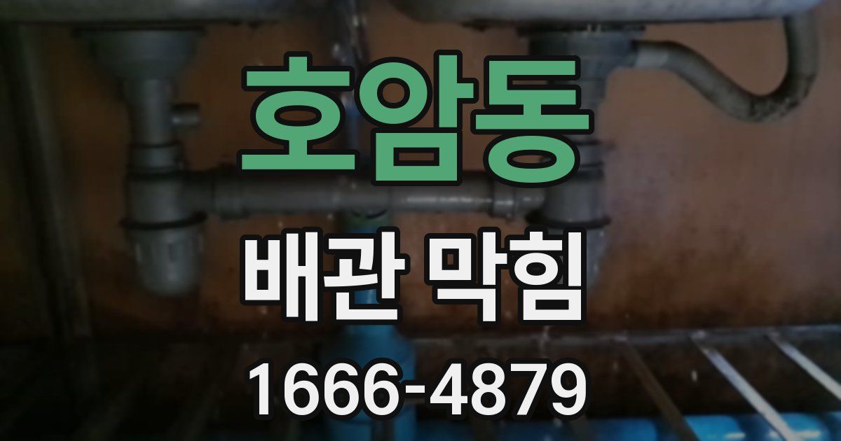 호암동 배관 막힘