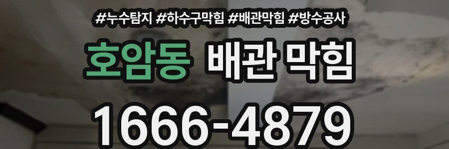 호암동 배관 막힘