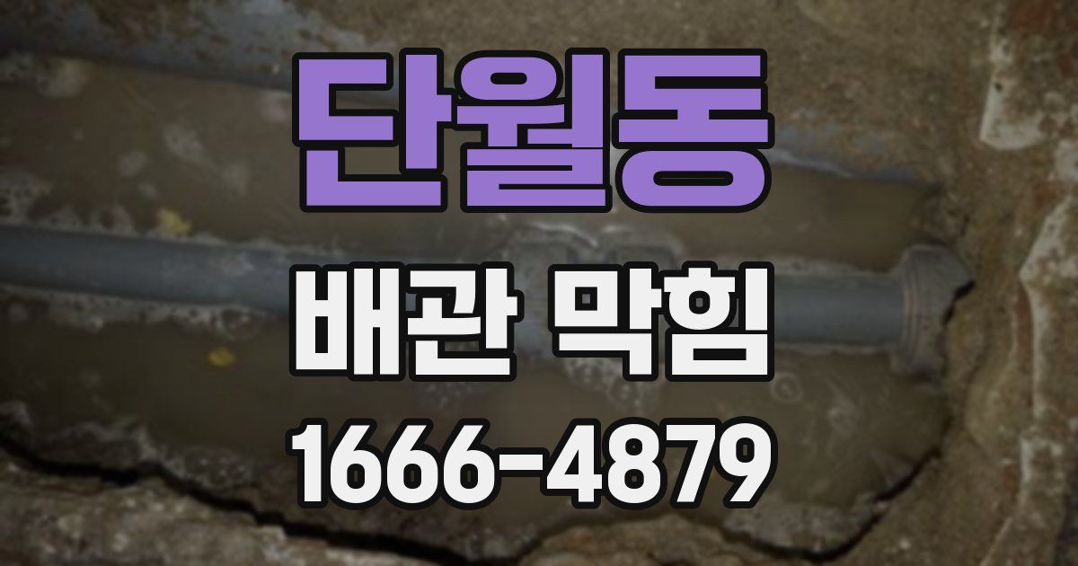 단월동 배관 막힘
