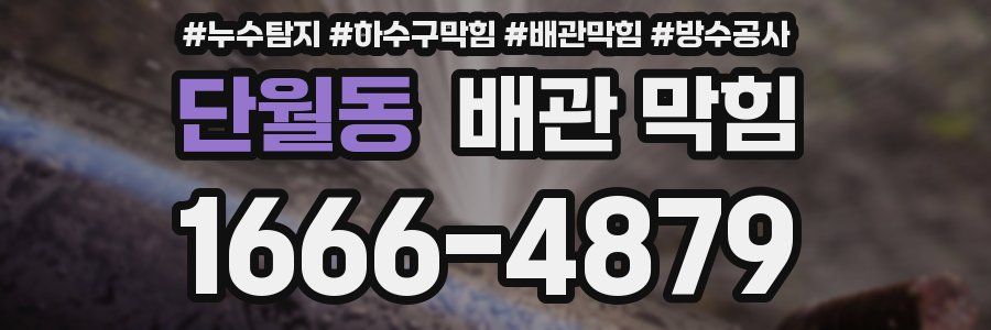 단월동 배관 막힘
