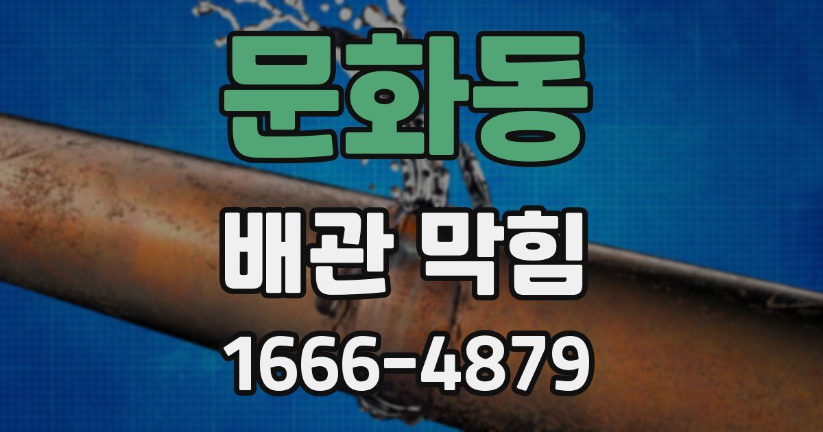 문화동 배관 막힘