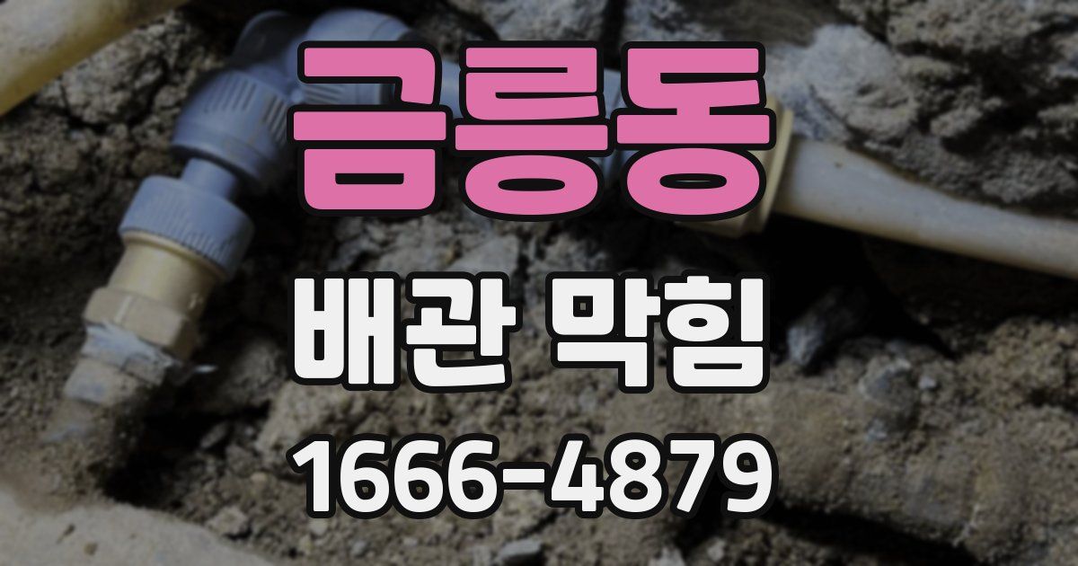 금릉동 배관 막힘