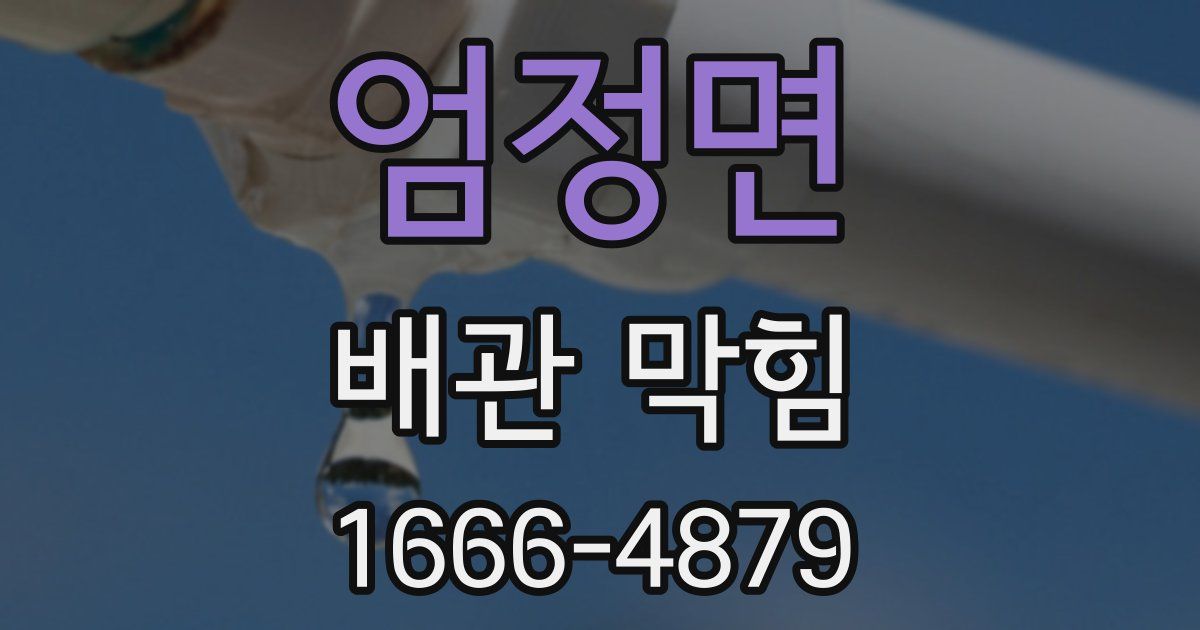 엄정면 배관 막힘