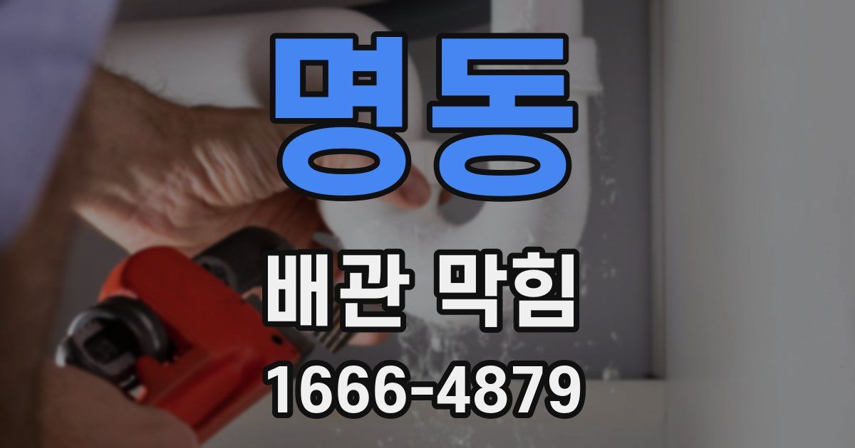 명동 배관 막힘