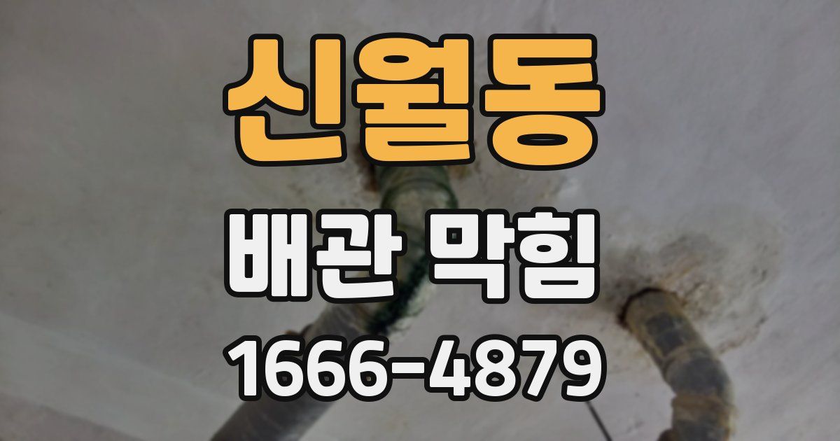 신월동 배관 막힘