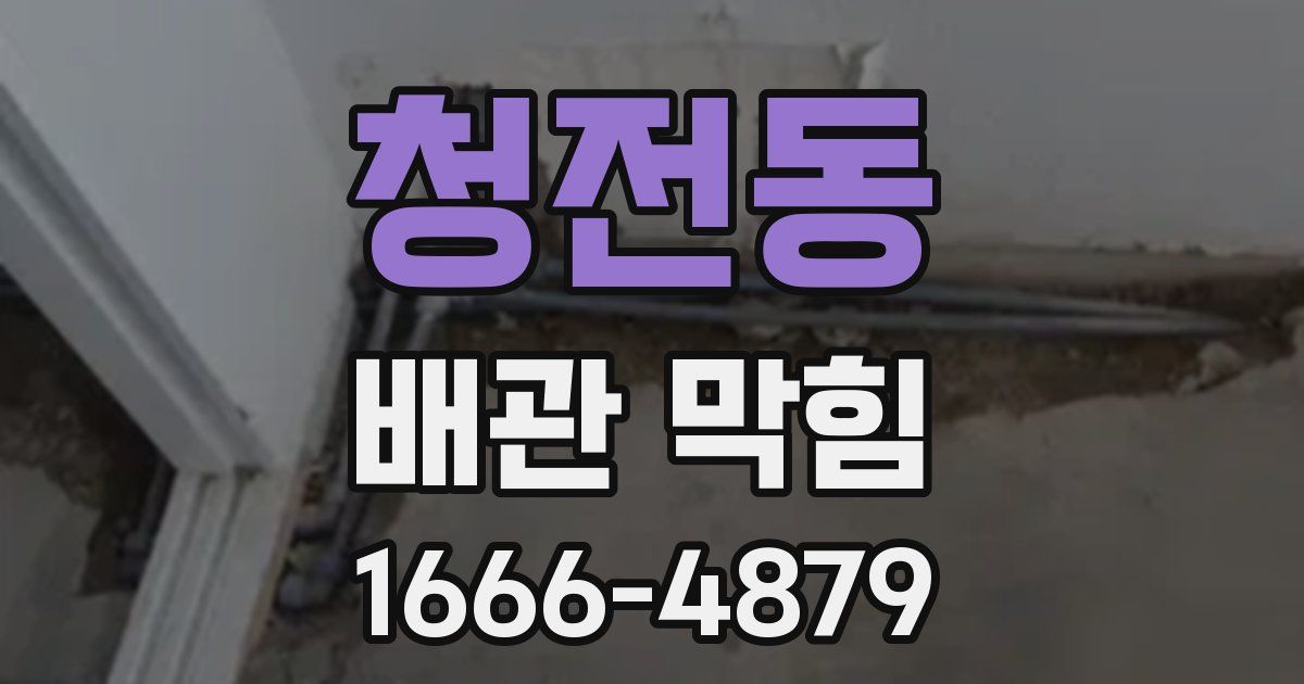 청전동 배관 막힘