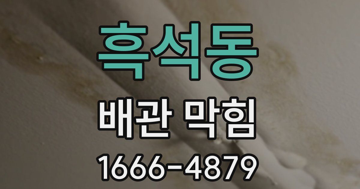 흑석동 배관 막힘