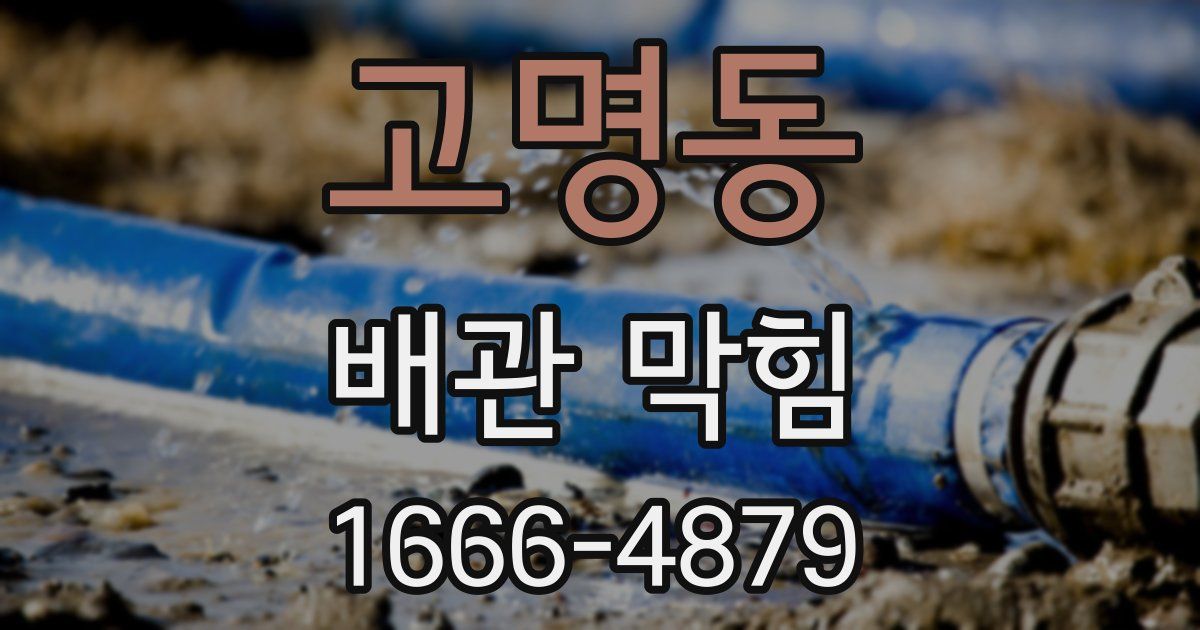 고명동 배관 막힘