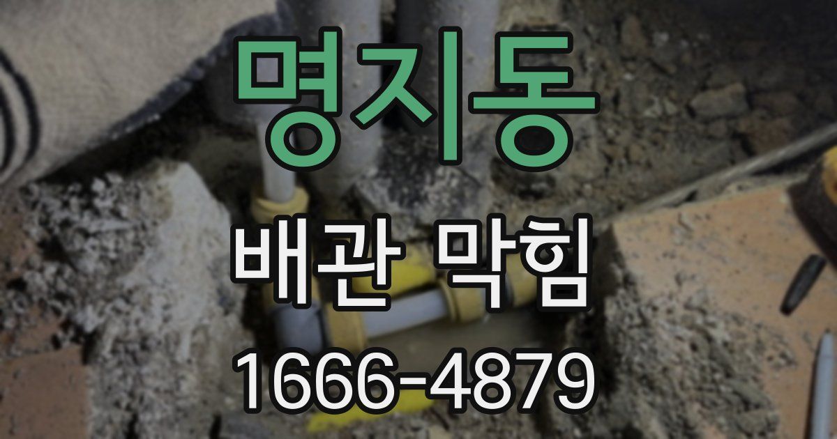 명지동 배관 막힘