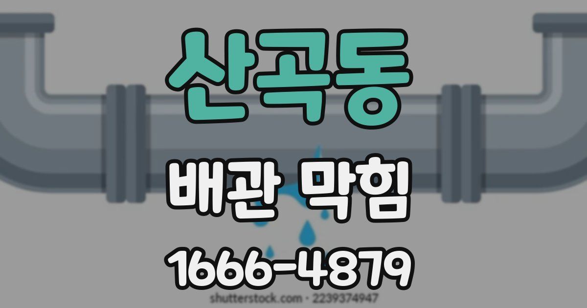 산곡동 배관 막힘