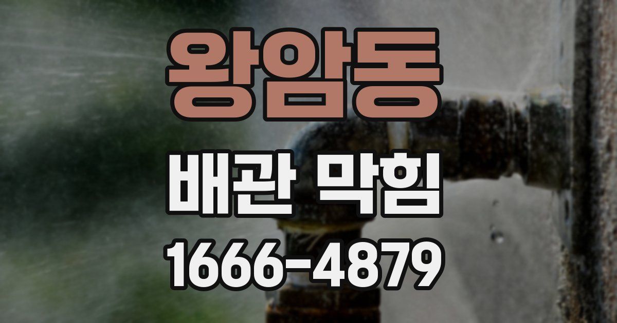 왕암동 배관 막힘