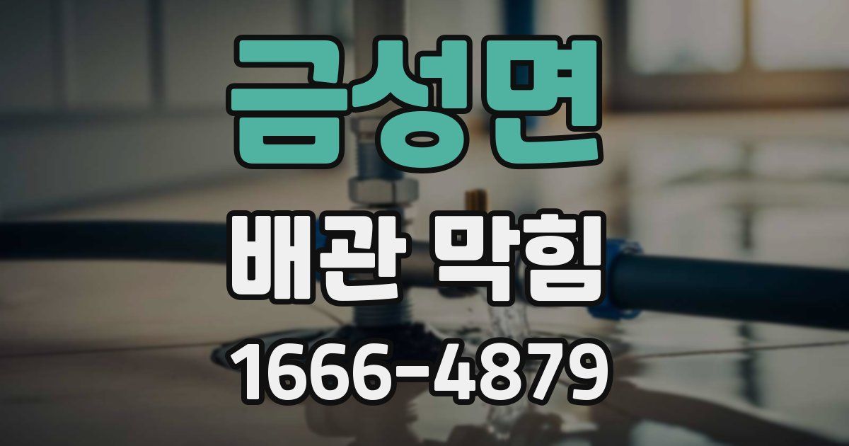 금성면 배관 막힘