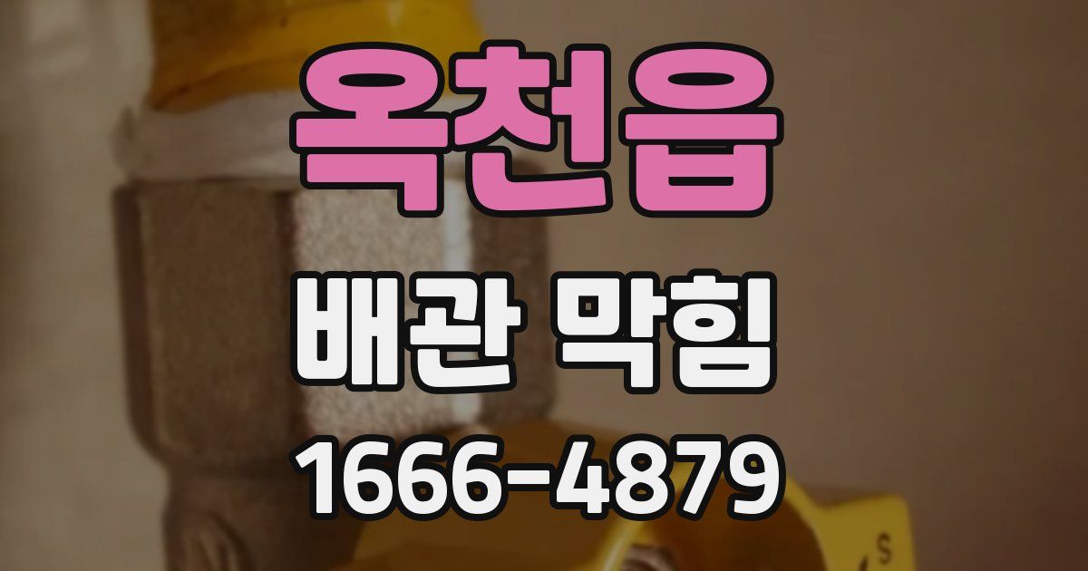 옥천읍 배관 막힘