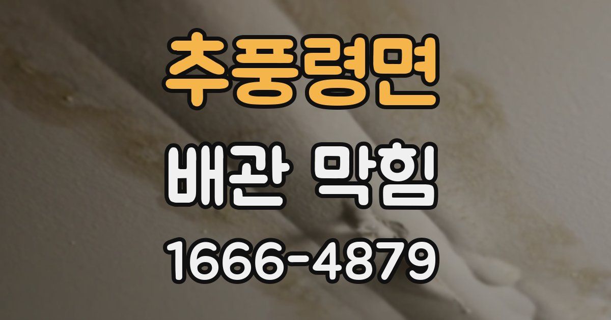 추풍령면 배관 막힘