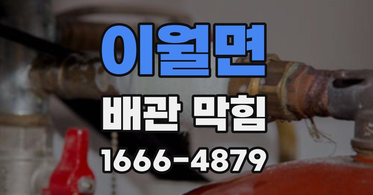 이월면 배관 막힘
