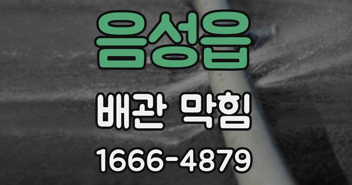 음성읍 배관 막힘