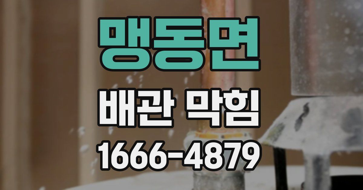 맹동면 배관 막힘