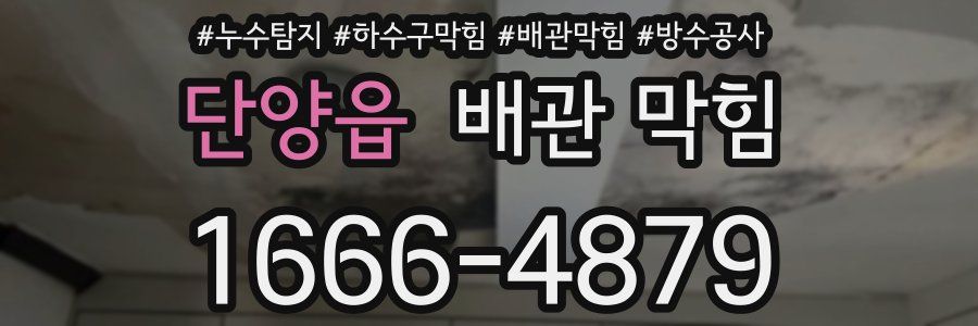 단양읍 배관 막힘