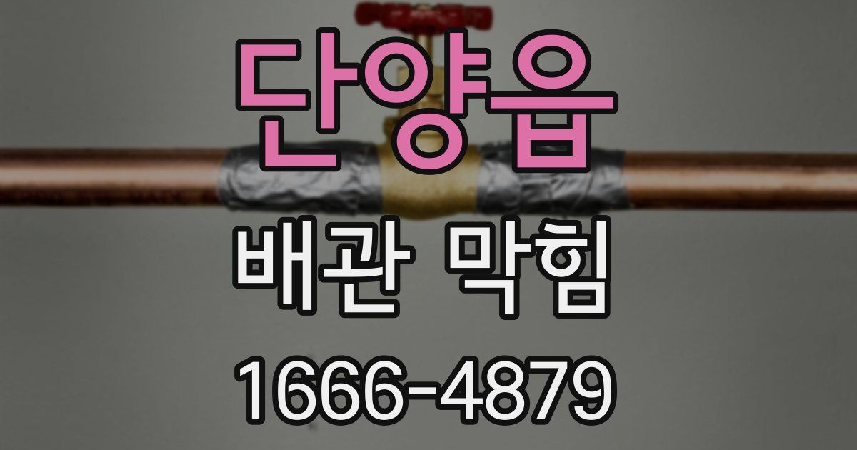 단양읍 배관 막힘