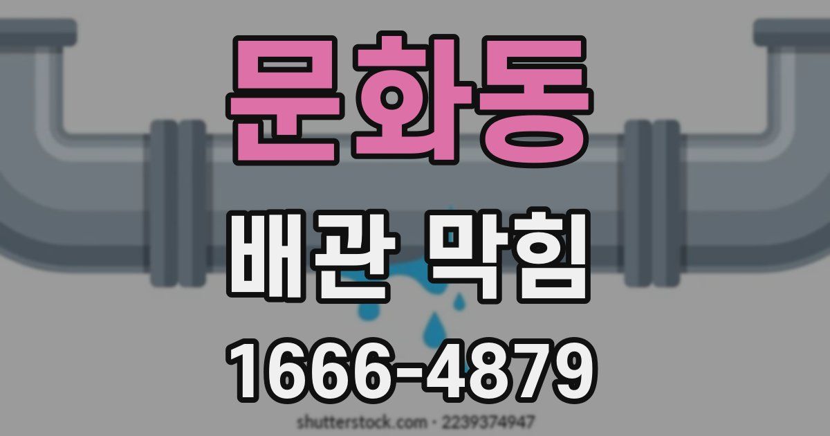 문화동 배관 막힘