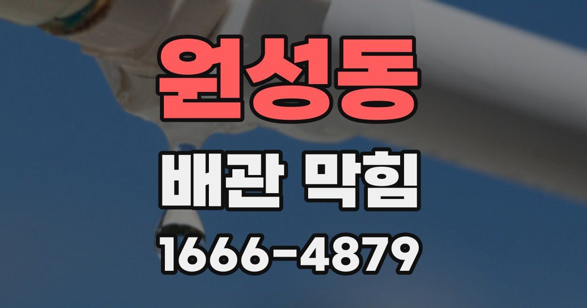 원성동 배관 막힘