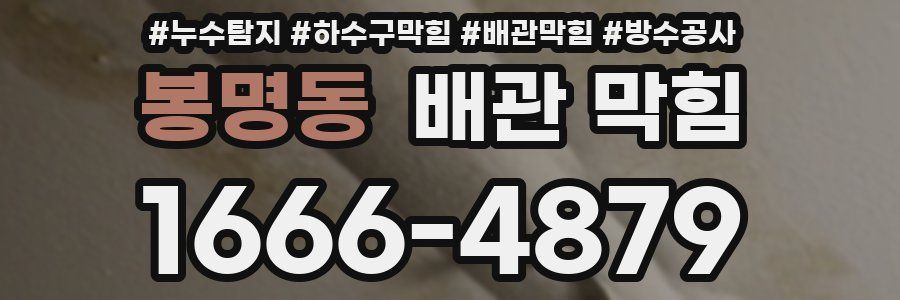 봉명동 배관 막힘