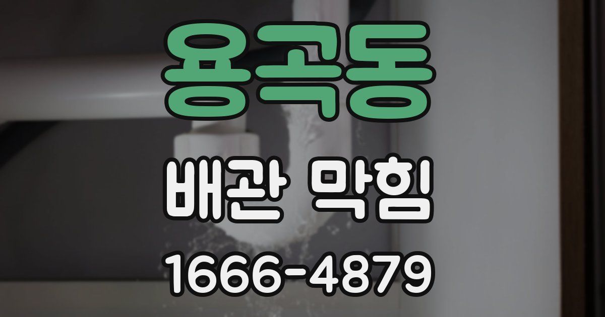 용곡동 배관 막힘