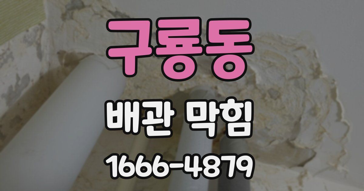 구룡동 배관 막힘
