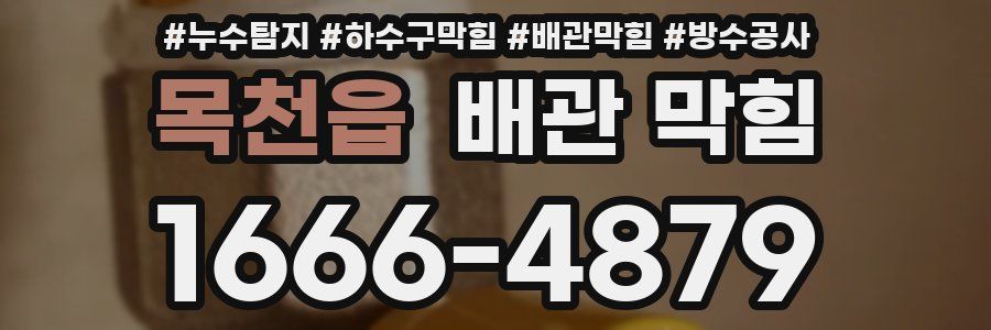 목천읍 배관 막힘
