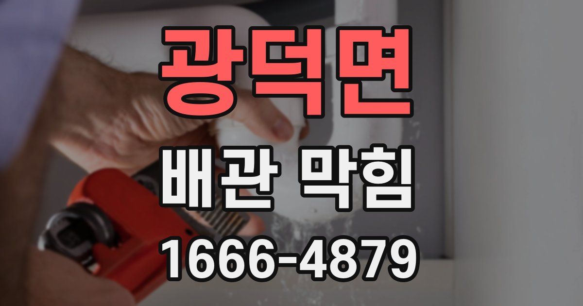 광덕면 배관 막힘
