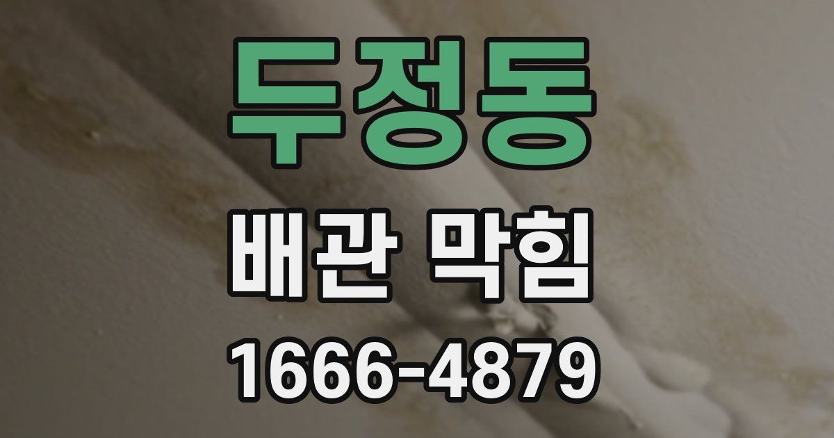 두정동 배관 막힘