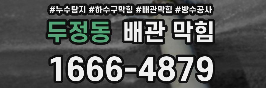 두정동 배관 막힘