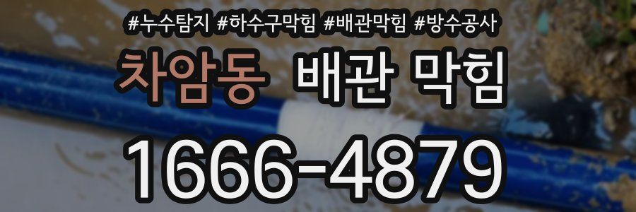 차암동 배관 막힘