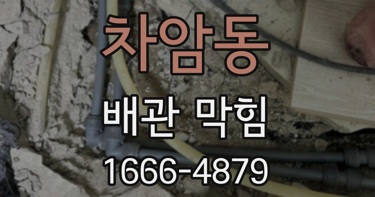 차암동 배관 막힘