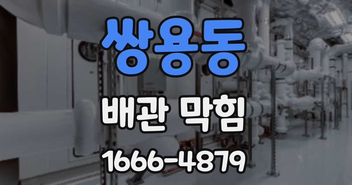 쌍용동 배관 막힘