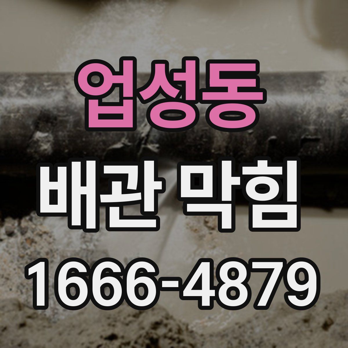 업성동 배관 막힘