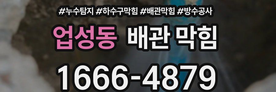 업성동 배관 막힘
