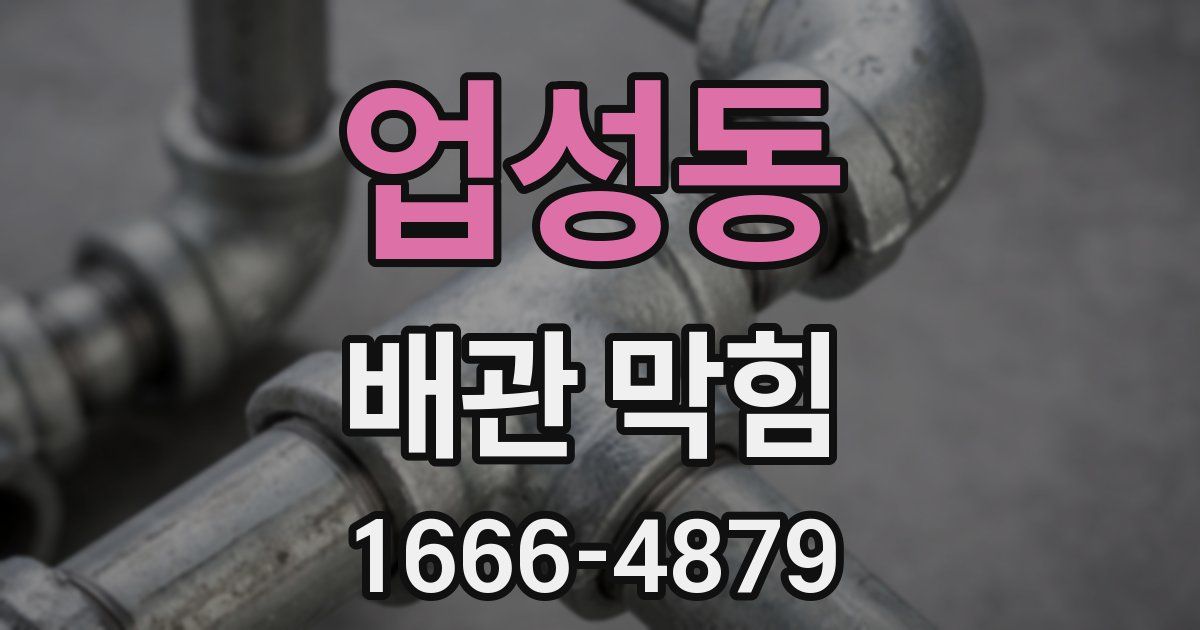 업성동 배관 막힘
